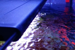 looking-down-into-nano-aquarium-007