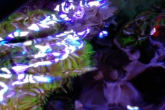 looking-down-into-nano-aquarium-009