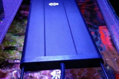 looking-down-into-nano-aquarium-011