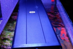 looking-down-into-nano-aquarium-013