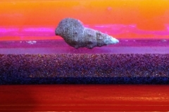 marine-snail-on-aquarium-rail-001
